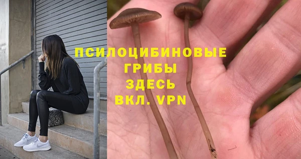 скорость Нея