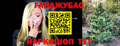 не бодяженный Заводоуковск