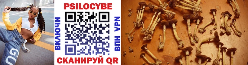 darknet наркотические препараты Кувандык Галлюциногенные грибы Cubensis