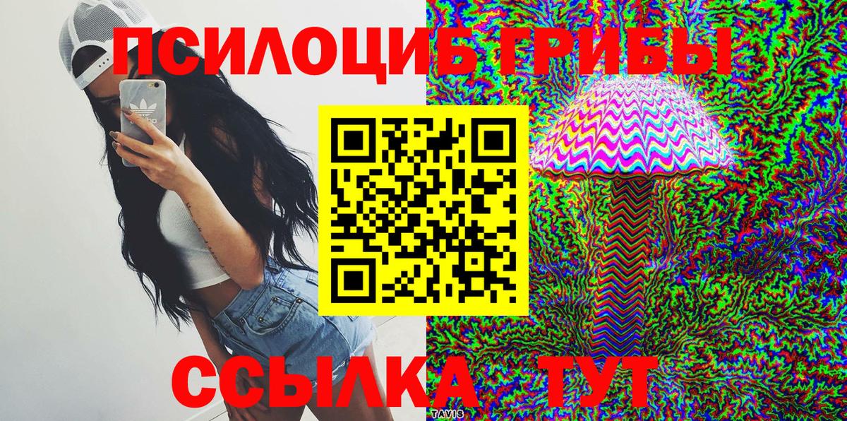 Галлюциногенные грибы Psilocybe Кувандык