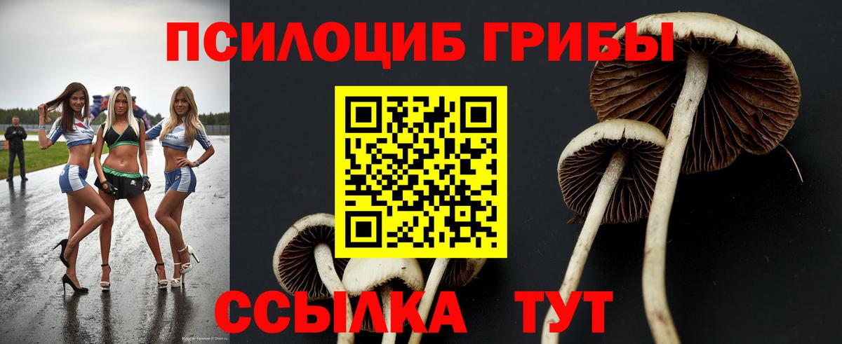 Псилоцибиновые грибы GOLDEN TEACHER  Вход с VPN  Псилоцибиновые грибы Psilocybine cubensis  Кувандык 