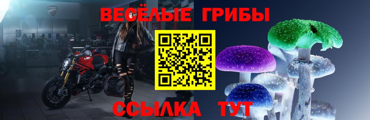 Кувандык  LSD-25  COCAIN  Мяу-Мяу  Вход с VPN  Плюхи  Канабис 